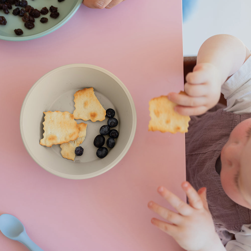Dinner Plate Set Blush